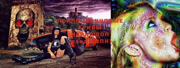 mix Белокуриха