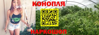 прущие грибы Бийск