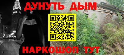 прущие грибы Бийск