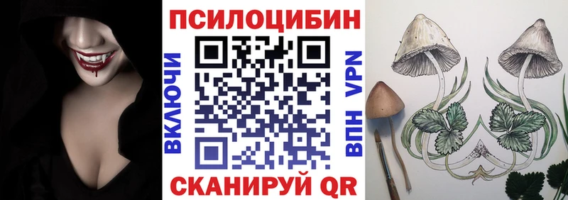 где найти Верхний Уфалей Псилоцибиновые грибы MAGIC MUSHROOMS